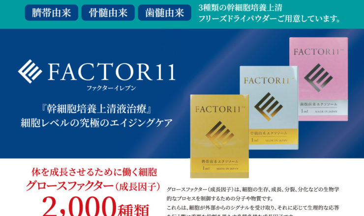 FACTOR11 再生医療 「幹細胞培養上清治療」細胞レベルの究極のエイジングケア。体を成長させるために働く細胞グロースファクター（成長因子）2000種類。