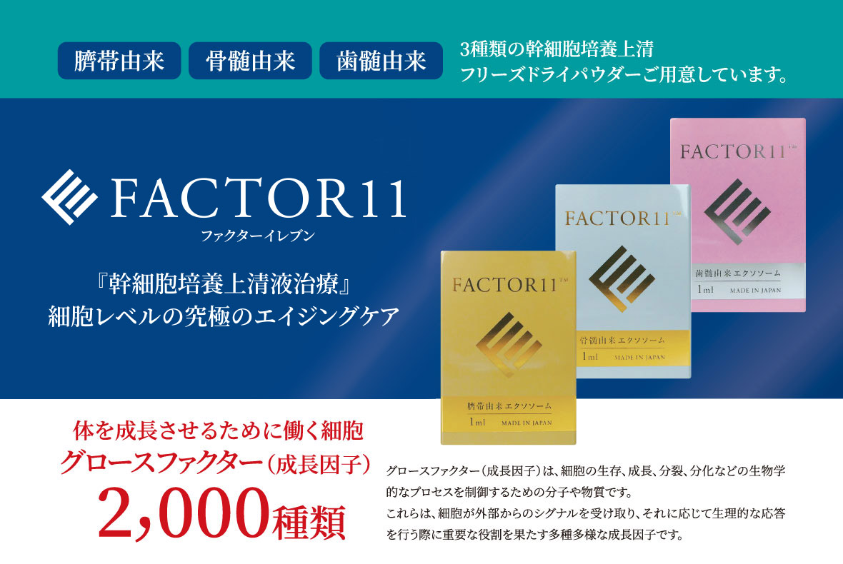 FACTOR11 再生医療 「幹細胞培養上清治療」細胞レベルの究極のエイジングケア。体を成長させるために働く細胞グロースファクター（成長因子）2000種類。