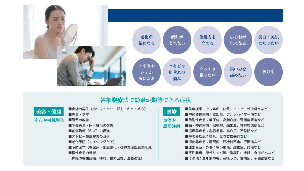 幹細胞療法で効果が期待できる症状。皮膚の再生、美白・クマ、肌質の改善、毛髪再生・円形脱毛の改善、キズの促進、アトピー性皮膚炎の改善、老化予防、予防医学、慢性疾患の軽減。免疫疾患、神経変性疾患、代謝性疾患、脳・神経疾患、循環器疾患、呼吸器疾患、消化器疾患、悪性腫瘍。